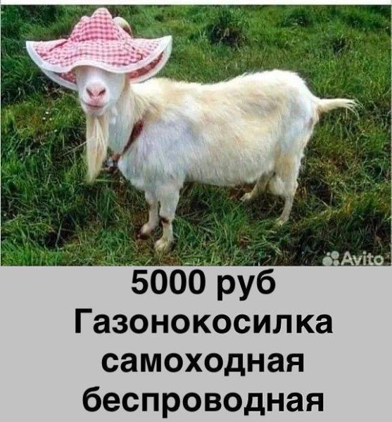   - 5  2025  19:04