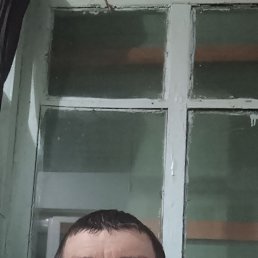 �����, 37 ���, ���������