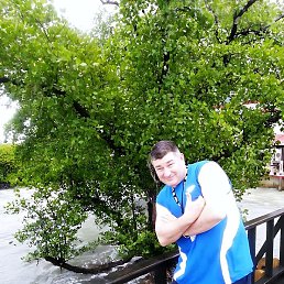 ����, ������, 51 ���