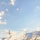 ���� ����, ������, 22 ���� - ��������� 24 ������� 2025 � ������ ���� ����������