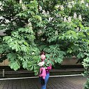 ���� �������, ����������� - ��������� 18 ������� 2025 � ������ ���� ����������