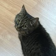 ����������, 29 ���, ��������