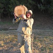 ����, 45 ���, �����