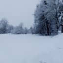 ���� ��������, ����� - ��������� 25 ������� 2026 � ������ ���� ����������