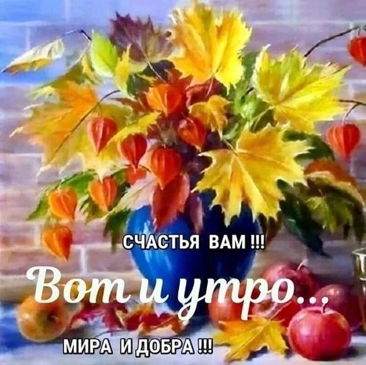 ПРИВЕТСТВИЯ и ПОЖЕЛАНИЯ, открытки на каждый день. - 26 октября 2025 в 01:27