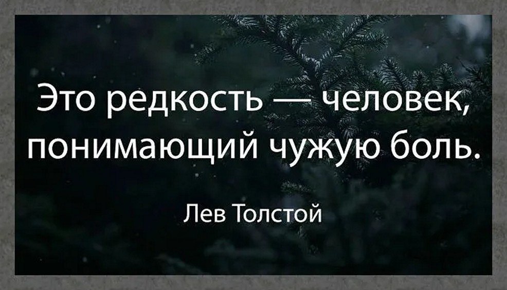 ☆ ☆ - 28  2025  12:17