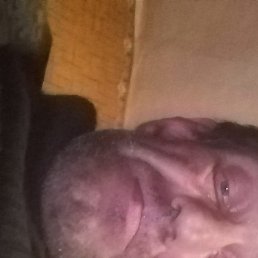 , , 50 