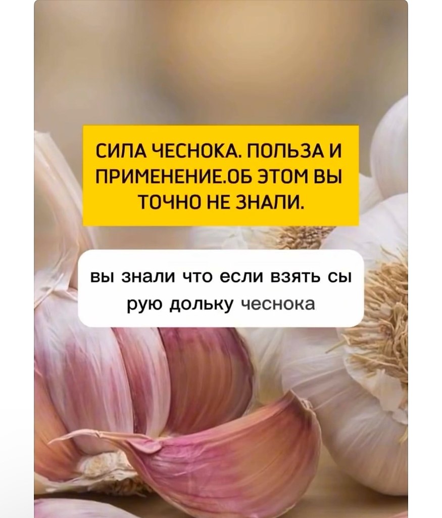 ������ | Wisdom & Beauty - 28 �������� 2025 � 18:37 - 2