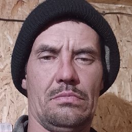 ����, �����������, 41 ���