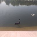 ���� �����, �����-��������� - ��������� 15 ������� 2025