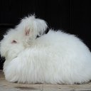 ���� �����������, ������ - ��������� 20 ������ 2025 � ������ ������ ��������