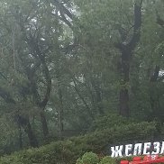 ������� ��������, 62 ����, ������