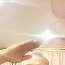 ���� ����, ����, 66 ��� - ��������� 23 ��� 2026 � ������ ���� ����������