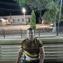 , 29, 