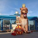 ���� ���������, ������, 57 ��� - ��������� 13 ���� 2025 � ������ ������ ��������