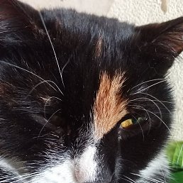 ���� ������, ���������, 50 ��� - ��������� 5 ������ 2026