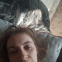 ���� �����, ����, 37 ��� - ��������� 8 ������� 2026 � ������ ���� ����������