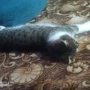 ���� ���, �������, 40 ��� - ��������� 9 ������ 2024