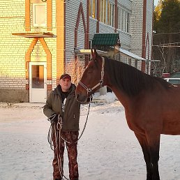 �������., ��������, 51 ���