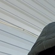 ���������, 37 ���, ������