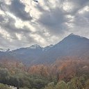 ���� �������, �����-��������� - ��������� 8 ������ 2025 � ������ �����2025�