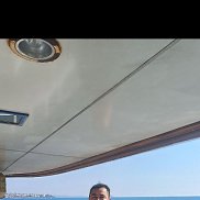 �����, 36 ���, ���������