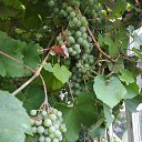 ���� ���� � �������� �� ���������� ..., ����� - ��������� 20 ���� 2025 � ������ ���� ����������