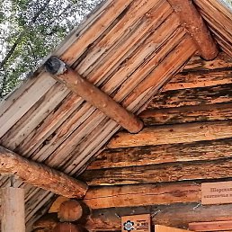 ����, ������������, 44 ����