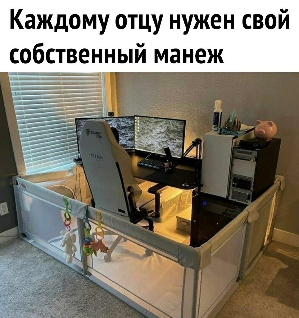 ���� ��� ���� - 26 ������� 2026 � 20:20