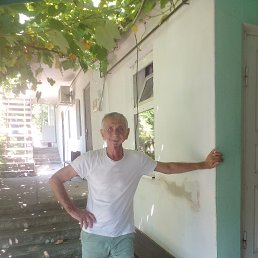 , 65 , 