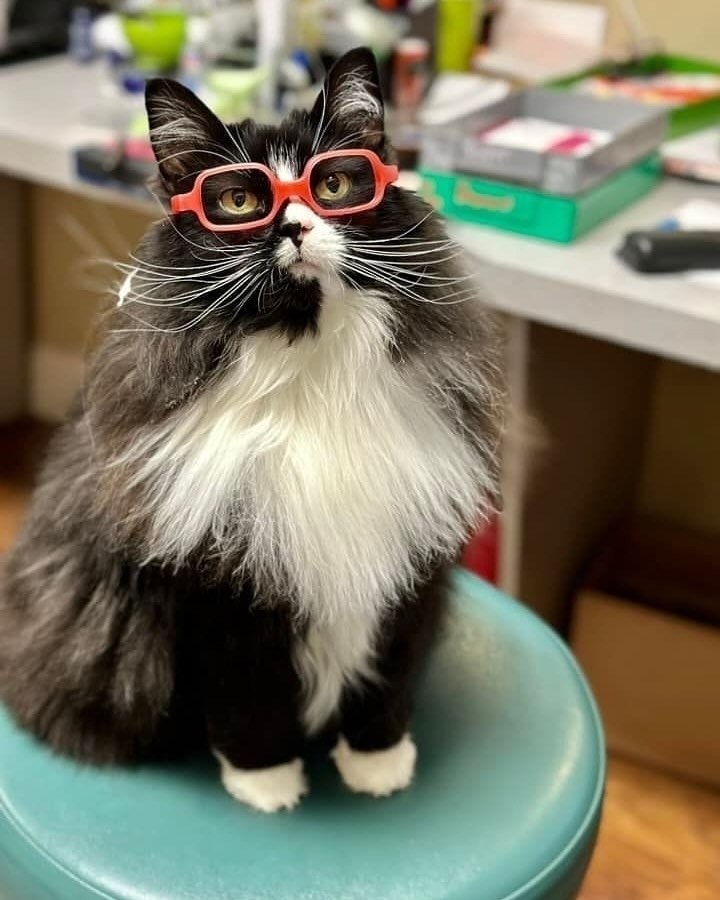  .               . ...