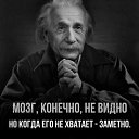 ���� �������, �������, 51 ��� - ��������� 20 �������� 2026 � ������ ������ ��������