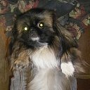 ���� ������, �����-���������, 49 ��� - ��������� 14 ������ 2025 � ������ ������ ��������