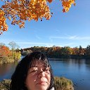 ���� �����, �����-���������, 47 ��� - ��������� 2 ������� 2026 � ������ ���� ����������