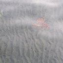 ���� ������, ��������, 60 ��� - ��������� 26 ������ 2025 � ������ ������ ��������