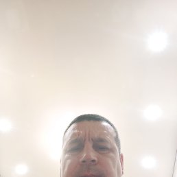 ���������, 44 ����, �������������