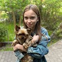 ���� Viktor, ������ - ��������� 4 ����� 2024 � ������ ������ ��������