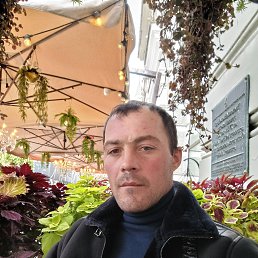 , 33, 