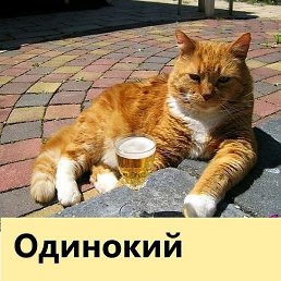 ������, �����