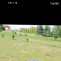 ���� �����, �������, 56 ��� - ��������� 26 ���� 2026