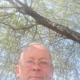 , 62, 