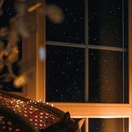 �����, ������, 36 ���