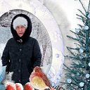 ���� ���������, ������������, 73 ���� - ��������� 2 ������ 2024 � ������ ���� ����������