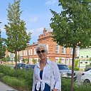 ���� �����, ��������� - ��������� 2 ������� 2026 � ������ ���� ����������