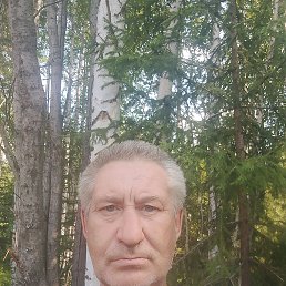 , 49, 