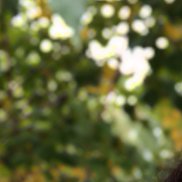 �����, 49 ���, ������������