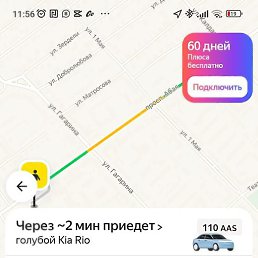 ��������, ������, 65 ���