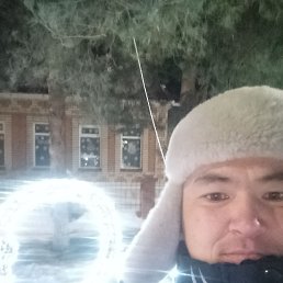 ������, ������, 37 ���