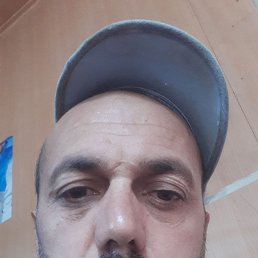 , 41, 