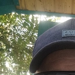 �����, ���������, 41 ���